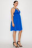 Deep Plunging V-neck Mesh Mini Dress