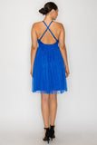 Deep Plunging V-neck Mesh Mini Dress
