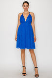 Deep Plunging V-neck Mesh Mini Dress